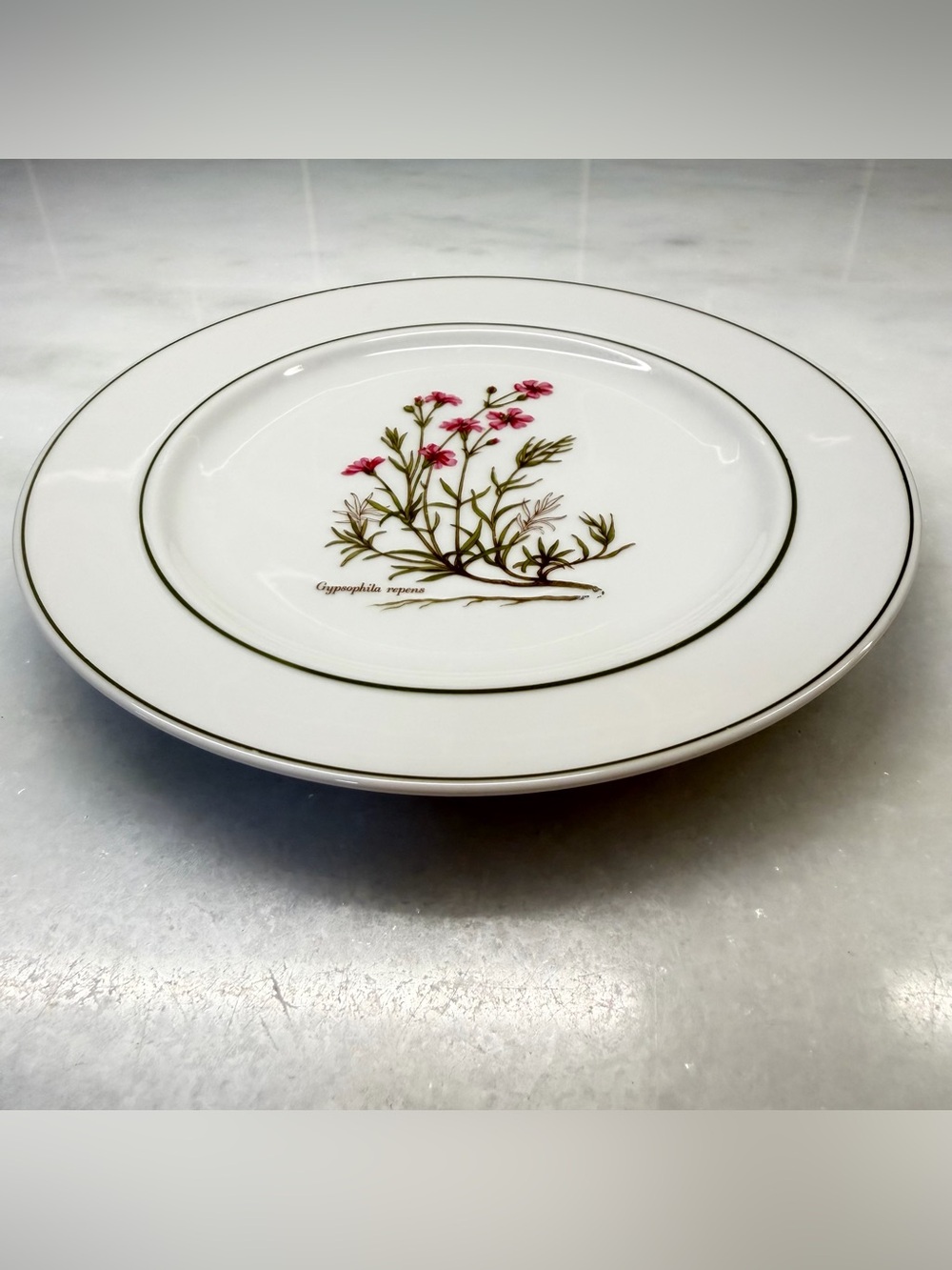Vintage JKW Bavaria Western Germany Gypsophila Repens Botanical Floral Plate